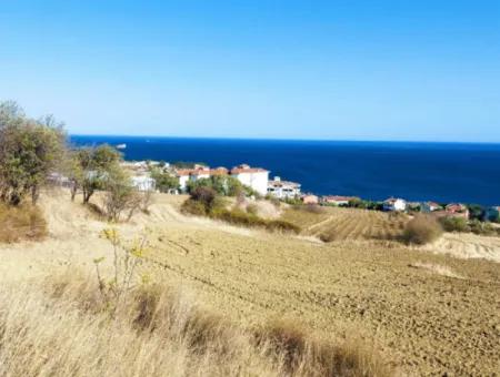 16.850 M2 Sea And Nature View Cooperative And Site Zoned Investment Land In Tekirdağ Barbaros!