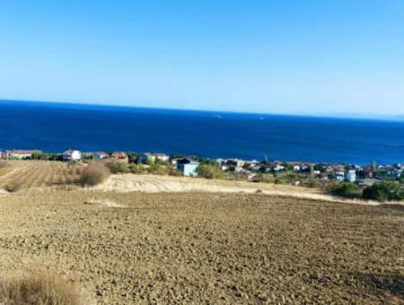 16.850 M2 Sea And Nature View Cooperative And Site Zoned Investment Land In Tekirdağ Barbaros!