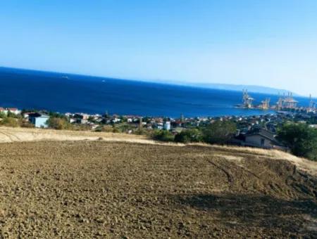 16.850 M2 Sea And Nature View Cooperative And Site Zoned Investment Land In Tekirdağ Barbaros!