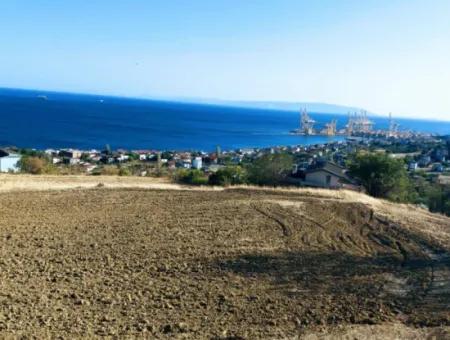 16.850 M2 Sea And Nature View Cooperative And Site Zoned Investment Land In Tekirdağ Barbaros!