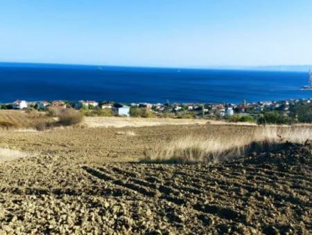 16.850 M2 Sea And Nature View Cooperative And Site Zoned Investment Land In Tekirdağ Barbaros!