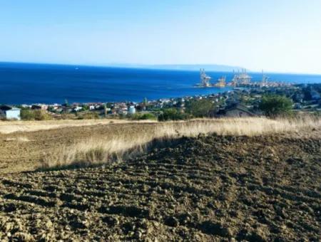 16.850 M2 Sea And Nature View Cooperative And Site Zoned Investment Land In Tekirdağ Barbaros!