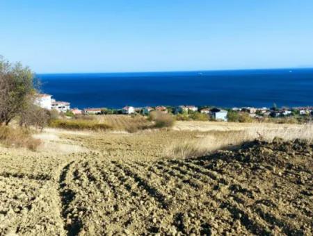 16.850 M2 Sea And Nature View Cooperative And Site Zoned Investment Land In Tekirdağ Barbaros!