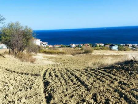 16.850 M2 Sea And Nature View Cooperative And Site Zoned Investment Land In Tekirdağ Barbaros!