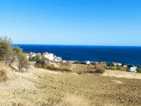 16.850 M2 Sea And Nature View Cooperative And Site Zoned Investment Land In Tekirdağ Barbaros!