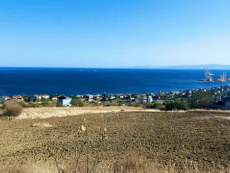 16.850 M2 Sea And Nature View Cooperative And Site Zoned Investment Land In Tekirdağ Barbaros!