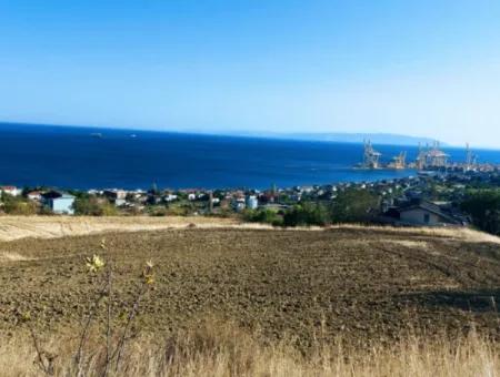 16.850 M2 Sea And Nature View Cooperative And Site Zoned Investment Land In Tekirdağ Barbaros!