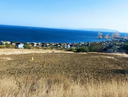 16.850 M2 Sea And Nature View Cooperative And Site Zoned Investment Land In Tekirdağ Barbaros!