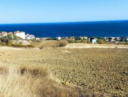 16.850 M2 Sea And Nature View Cooperative And Site Zoned Investment Land In Tekirdağ Barbaros!