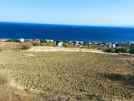 16.850 M2 Sea And Nature View Cooperative And Site Zoned Investment Land In Tekirdağ Barbaros!