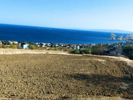 16.850 M2 Sea And Nature View Cooperative And Site Zoned Investment Land In Tekirdağ Barbaros!