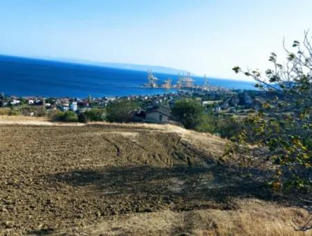 16.850 M2 Sea And Nature View Cooperative And Site Zoned Investment Land In Tekirdağ Barbaros!