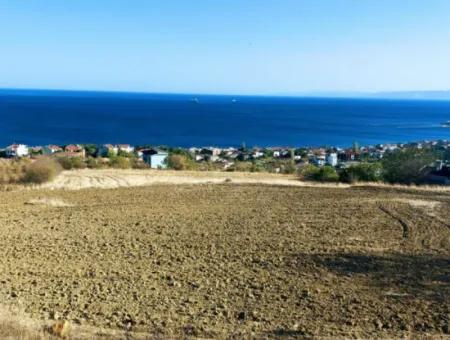 16.850 M2 Sea And Nature View Cooperative And Site Zoned Investment Land In Tekirdağ Barbaros!