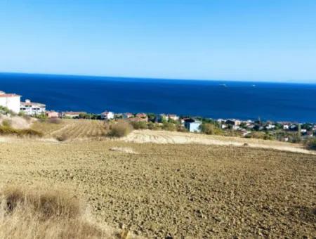 16.850 M2 Sea And Nature View Cooperative And Site Zoned Investment Land In Tekirdağ Barbaros!