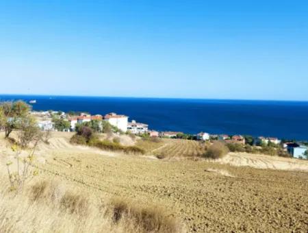 16.850 M2 Sea And Nature View Cooperative And Site Zoned Investment Land In Tekirdağ Barbaros!