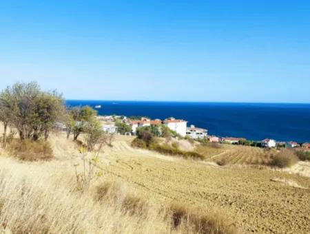 16.850 M2 Sea And Nature View Cooperative And Site Zoned Investment Land In Tekirdağ Barbaros!