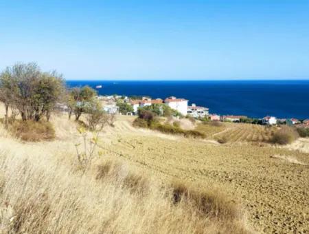 16.850 M2 Sea And Nature View Cooperative And Site Zoned Investment Land In Tekirdağ Barbaros!