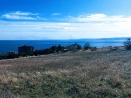 6.400 M2 Residential Zoned Investment Opportunity In Topağaç Neighborhood Of Tekirdağ