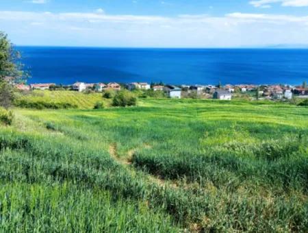 Tekirdag Barbarosta 42 Flats For Urgent Sale Cooperative And Suitable Place For Site Construction