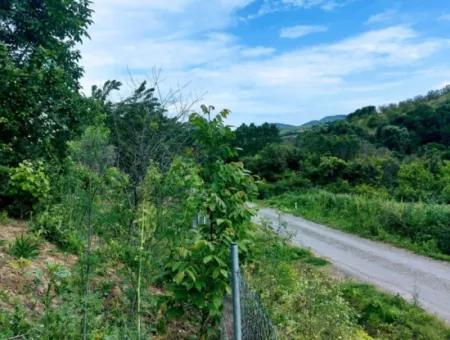 Coupon Place Suitable For Putting 580 M2 Tiny House For Urgent Sale In The Heart Of Nature In Tekirdag Avşarda