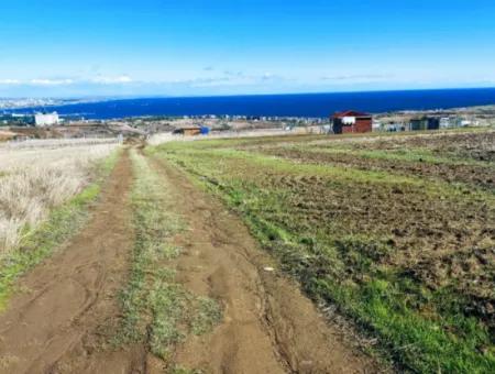 Urgent Sale In Barbarosta, Tekirdag, 15.000 M2 Villa Zoned Field!