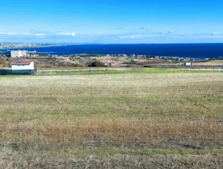 Urgent Sale In Barbarosta, Tekirdag, 15.000 M2 Villa Zoned Field!