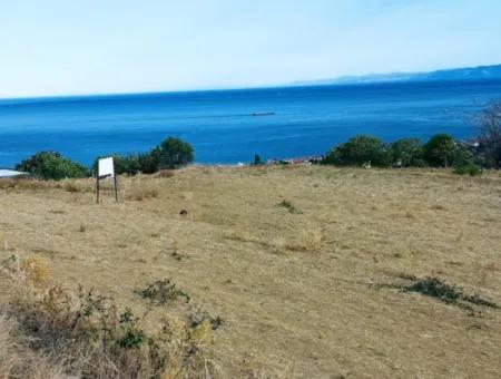 Coupon Land For Urgent Sale Suitable For Building Your Detached House With Wonderful Sea View In Tekirdag Barbarosta