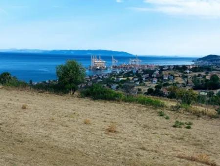 Coupon Land For Urgent Sale Suitable For Building Your Detached House With Wonderful Sea View In Tekirdag Barbarosta