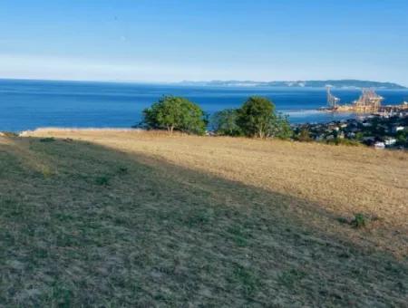 Coupon Land For Urgent Sale Suitable For Building Your Detached House With Wonderful Sea View In Tekirdag Barbarosta