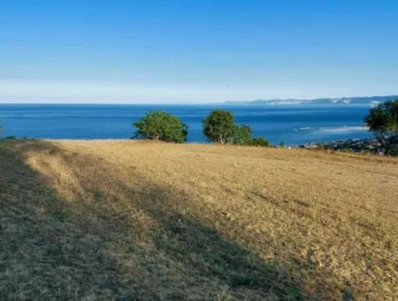 Coupon Land For Urgent Sale Suitable For Building Your Detached House With Wonderful Sea View In Tekirdag Barbarosta