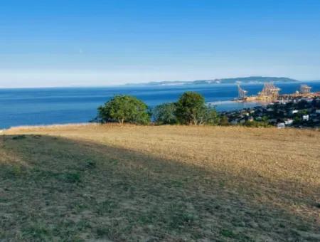 Coupon Land For Urgent Sale Suitable For Building Your Detached House With Wonderful Sea View In Tekirdag Barbarosta