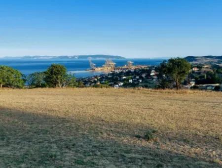 Coupon Land For Urgent Sale Suitable For Building Your Detached House With Wonderful Sea View In Tekirdag Barbarosta