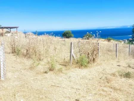 765 M2 Bargain Land With Full Sea View For Urgent Sale In Tekirdag Barbarosta