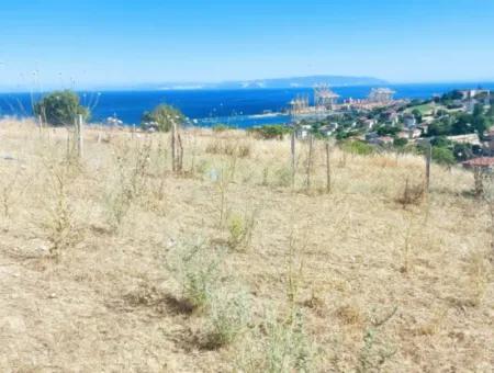 765 M2 Bargain Land With Full Sea View For Urgent Sale In Tekirdag Barbarosta