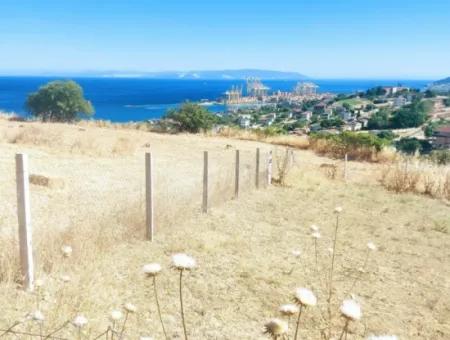 765 M2 Bargain Land With Full Sea View For Urgent Sale In Tekirdag Barbarosta