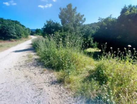 Coupon Field With Main Road Frontage Suitable For Nature Enthusiasts To Put Tiny House For Urgent Sale In Tekirdag Çanakçi Neighborhood