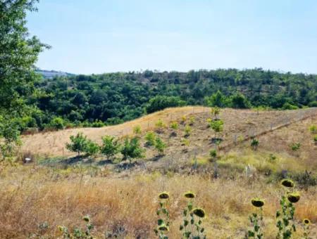 Kelep Kopon Field For Urgent Sale For Those Who Want To Make A Profitable Investment In Tekirdag Çanakçi Neighborhood