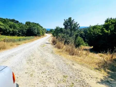 Coupon Field With Main Road Frontage Suitable For Nature Enthusiasts To Put Tiny House For Urgent Sale In Tekirdag Çanakçi Neighborhood