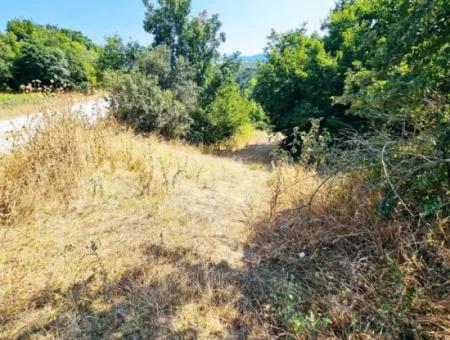 Coupon Field With Main Road Frontage Suitable For Nature Enthusiasts To Put Tiny House For Urgent Sale In Tekirdag Çanakçi Neighborhood