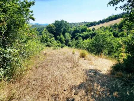 Coupon Field With Main Road Frontage Suitable For Nature Enthusiasts To Put Tiny House For Urgent Sale In Tekirdag Çanakçi Neighborhood