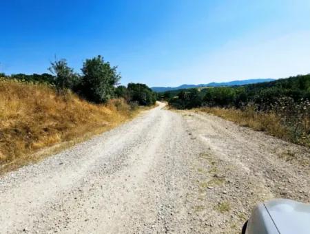 Coupon Field With Main Road Frontage Suitable For Nature Enthusiasts To Put Tiny House For Urgent Sale In Tekirdag Çanakçi Neighborhood