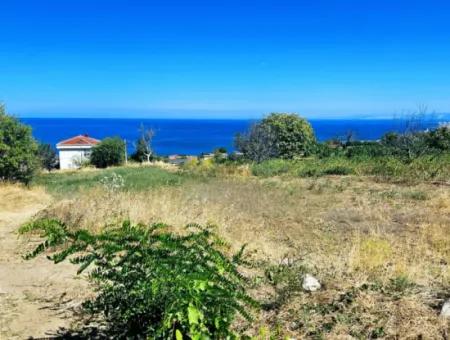 An Unmissable Opportunity For Those Looking For A Place For Urgent Sale 4 Side Road Façade Investment In Tekirdag Barbarosta