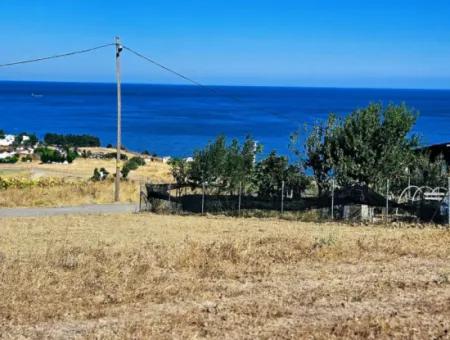 Coupon Land For Urgent Sale Suitable For Building A Detached House In Tekirdag Barbarosta