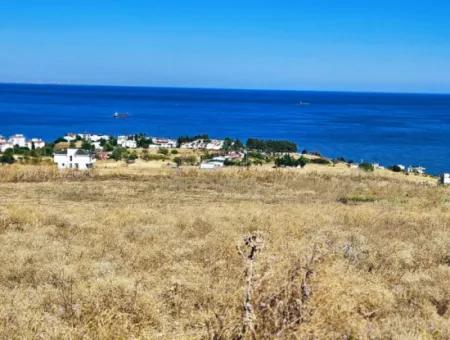 Coupon Land For Urgent Sale Suitable For Building A Detached House In Tekirdag Barbarosta