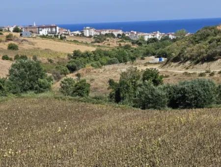 9.100 M2 Villa Zoned Field For Urgent Sale In Tekirdag Barbarosta