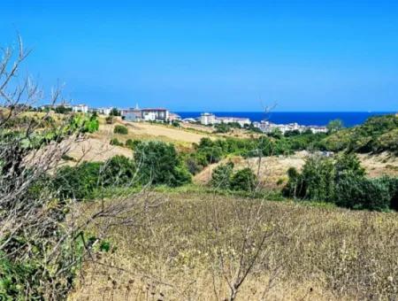 9.100 M2 Villa Zoned Field For Urgent Sale In Tekirdag Barbarosta