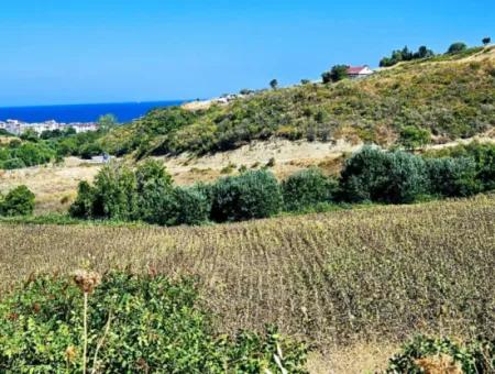 9.100 M2 Villa Zoned Field For Urgent Sale In Tekirdag Barbarosta