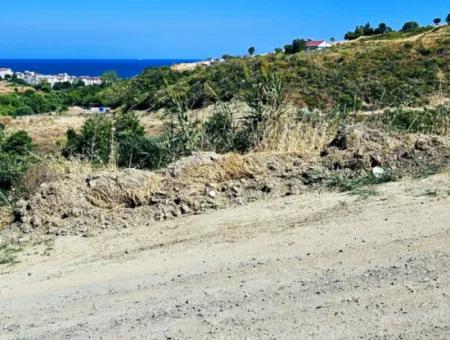 9.100 M2 Villa Zoned Field For Urgent Sale In Tekirdag Barbarosta