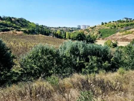 9.100 M2 Villa Zoned Field For Urgent Sale In Tekirdag Barbarosta