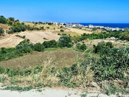 9.100 M2 Villa Zoned Field For Urgent Sale In Tekirdag Barbarosta